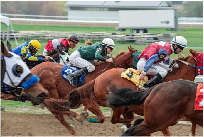 Economics of Racehorses